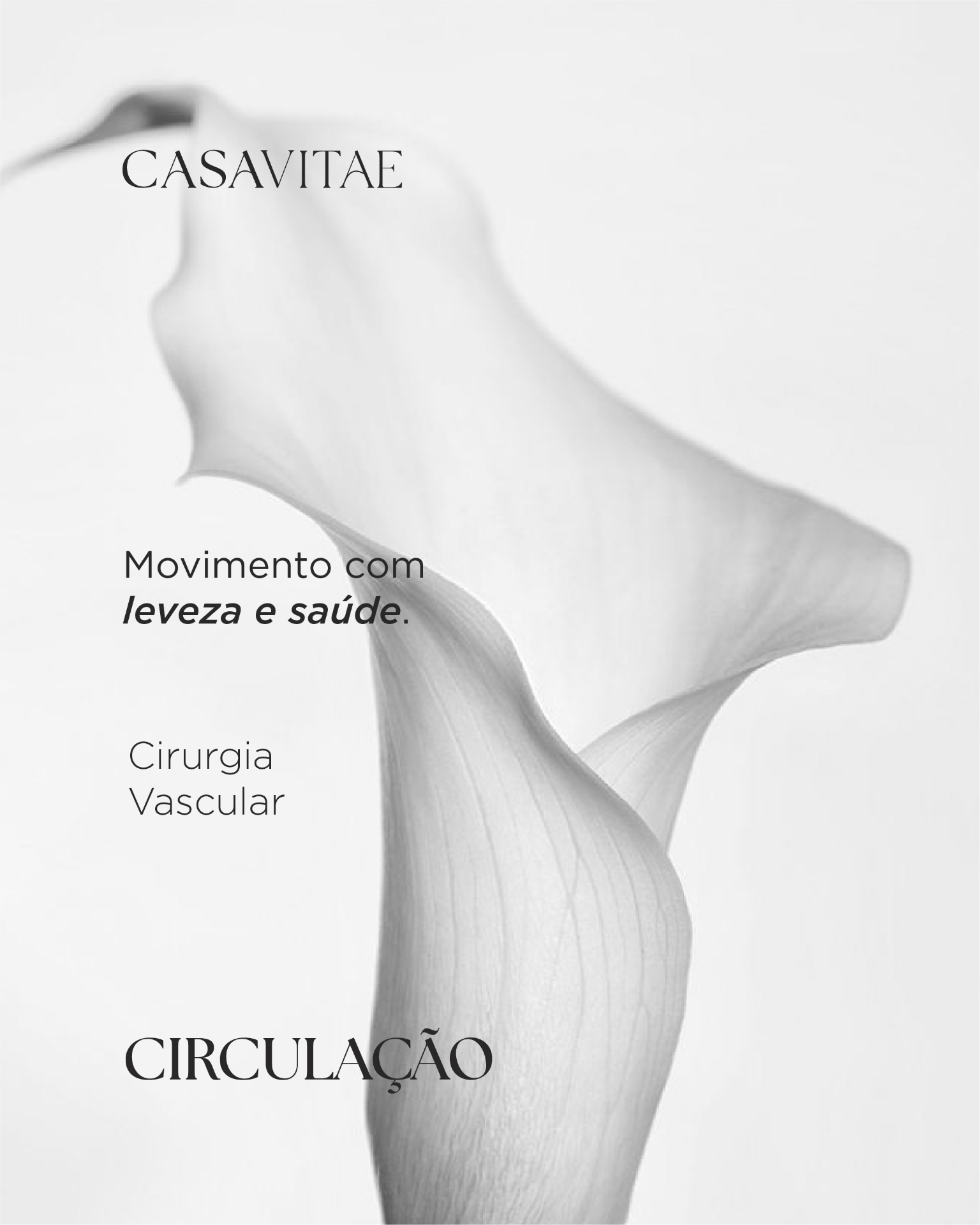 Imagem editorial, Vein Vitae